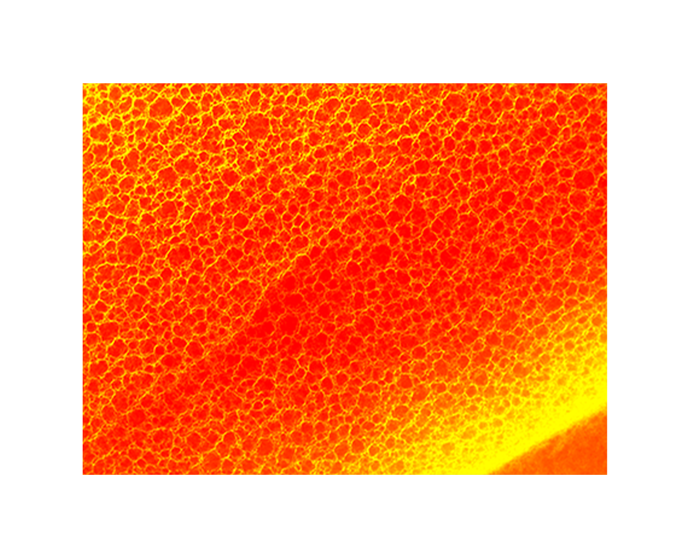 Foam-Tech-Core Foam-Tech-Core
